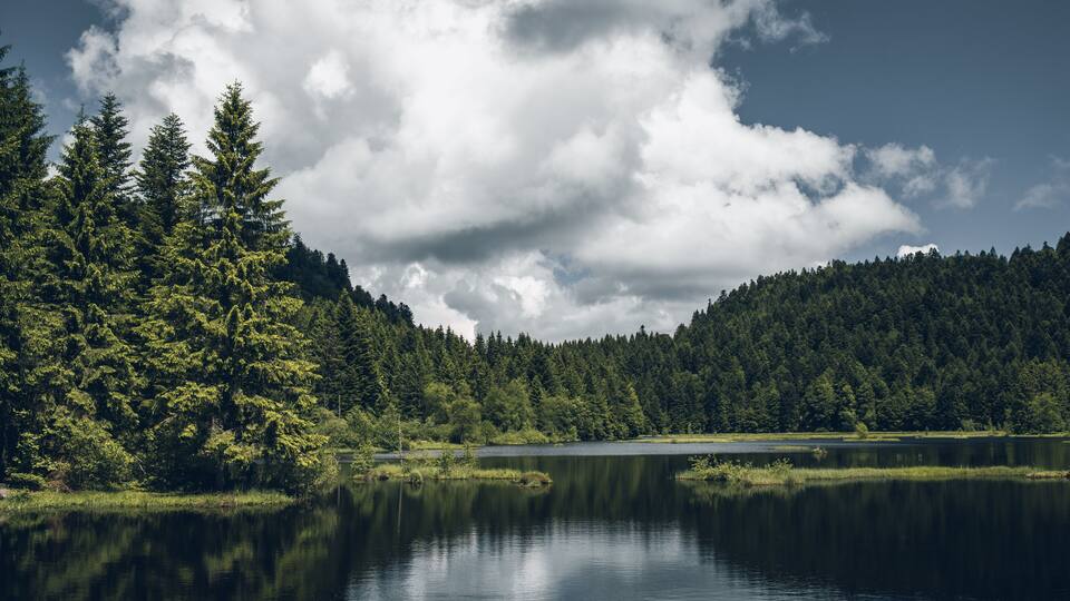 A calm lake surrounded by dense forest and a cloudy sky.