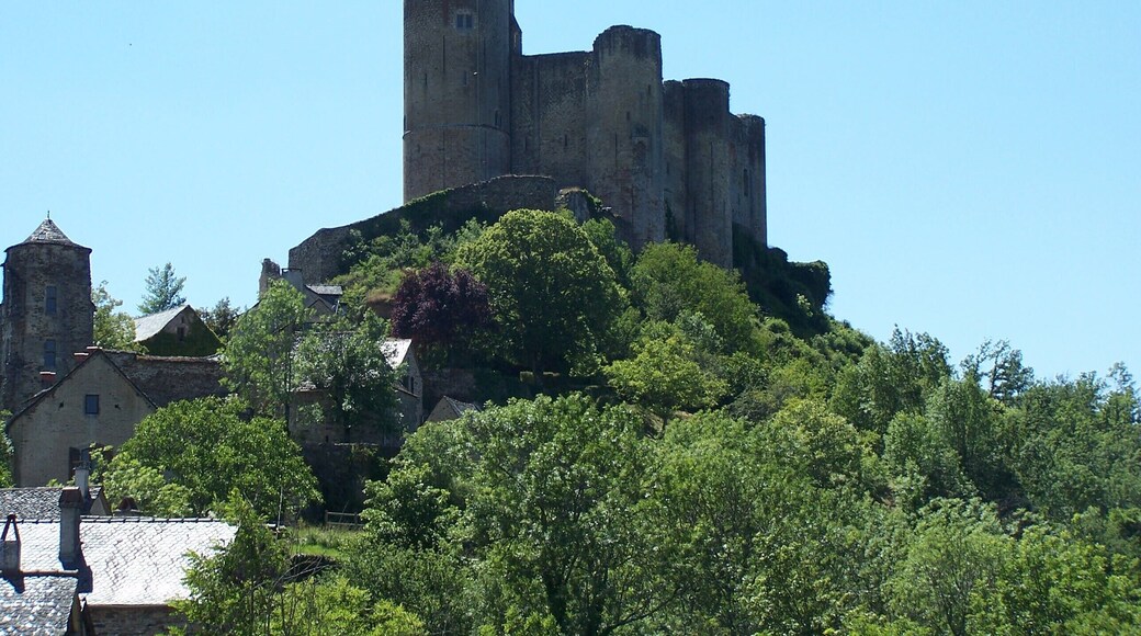 This building is classé au titre des Monuments Historiques. It is indexed in the Base Mérimée, a database of architectural heritage maintained by the French Ministry of Culture, under the reference PA00094081 .