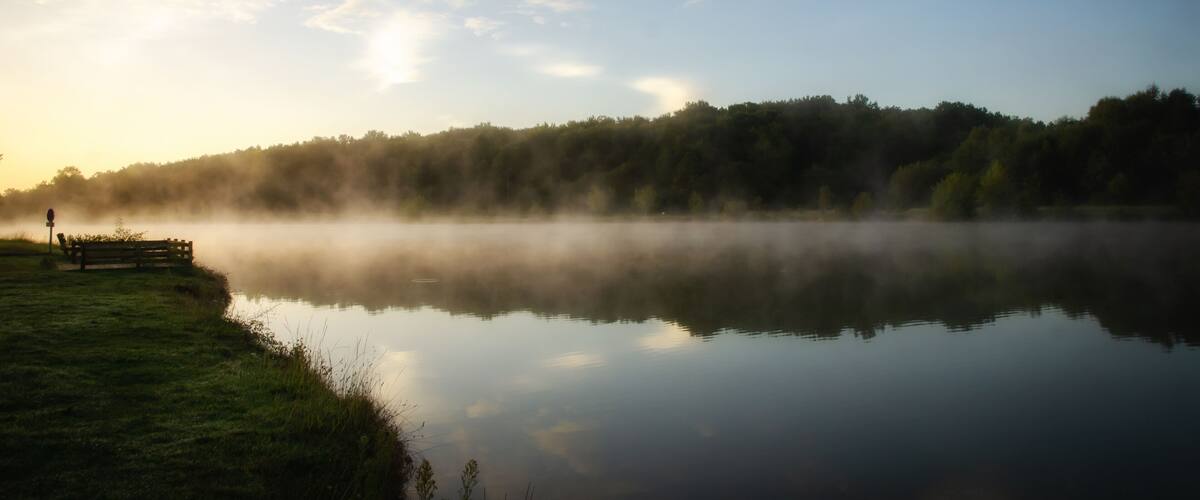A calm lake with a wooden bench and a person standing on the grass, surrounded by trees and a misty atmosphere.