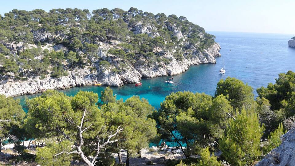 A coastal landscape with rocky cliffs, dense pine trees, and turquoise waters.
