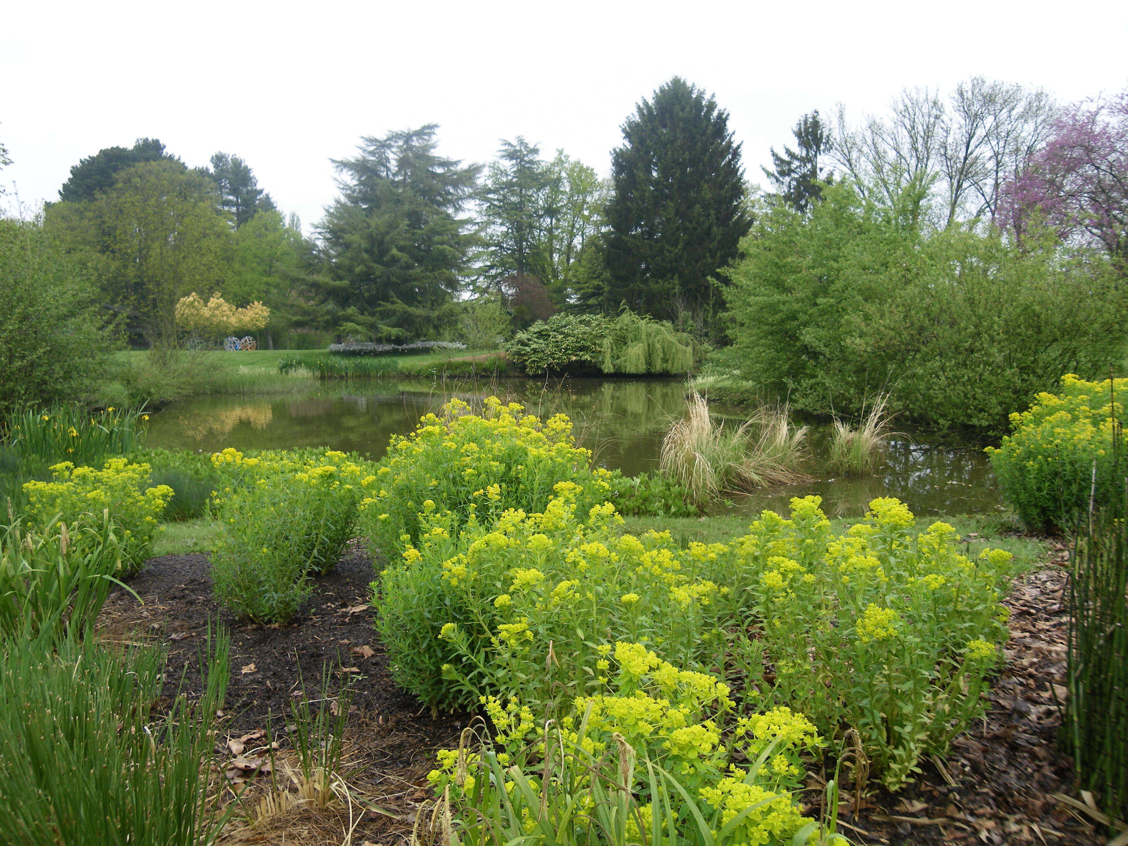 l'etang du parc a chateaubourg