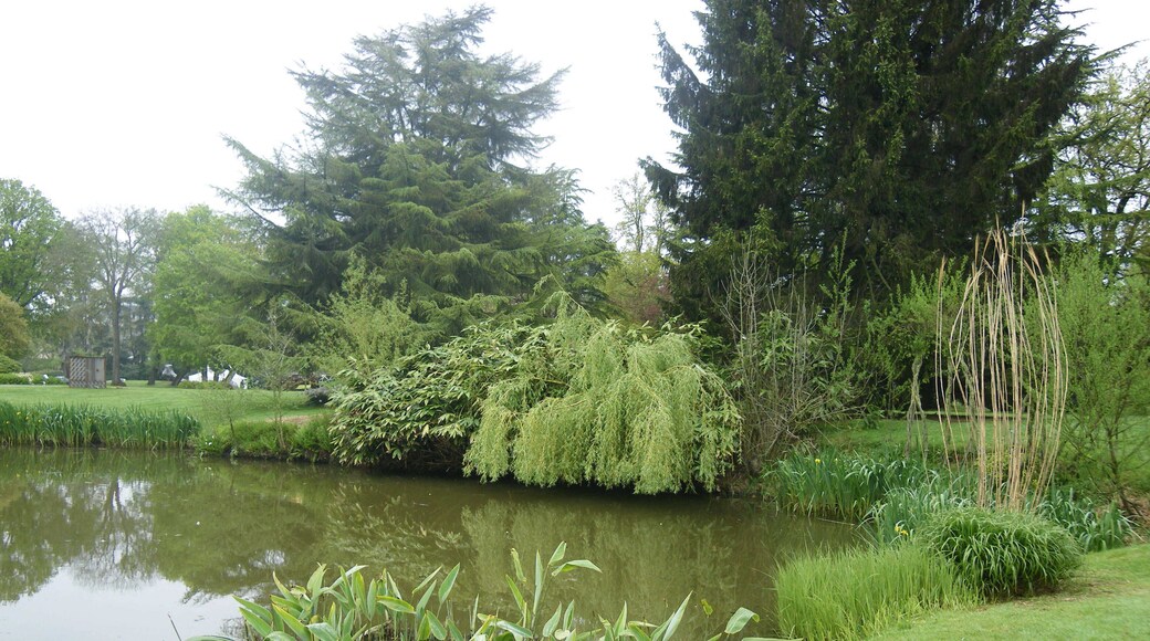etang dans le parc a chateaubourg