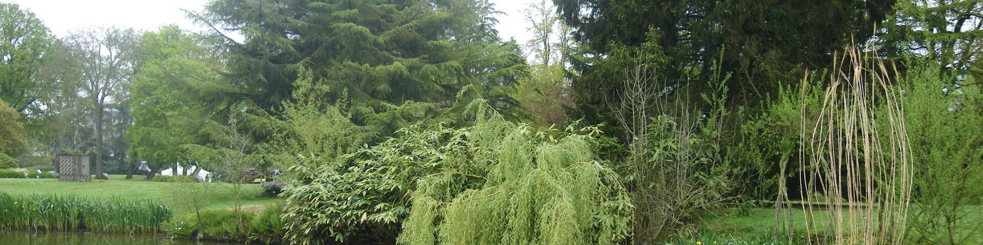 etang dans le parc a chateaubourg