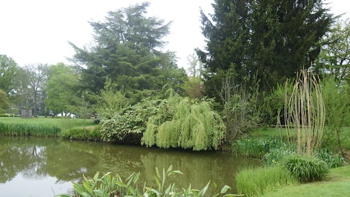 etang dans le parc a chateaubourg