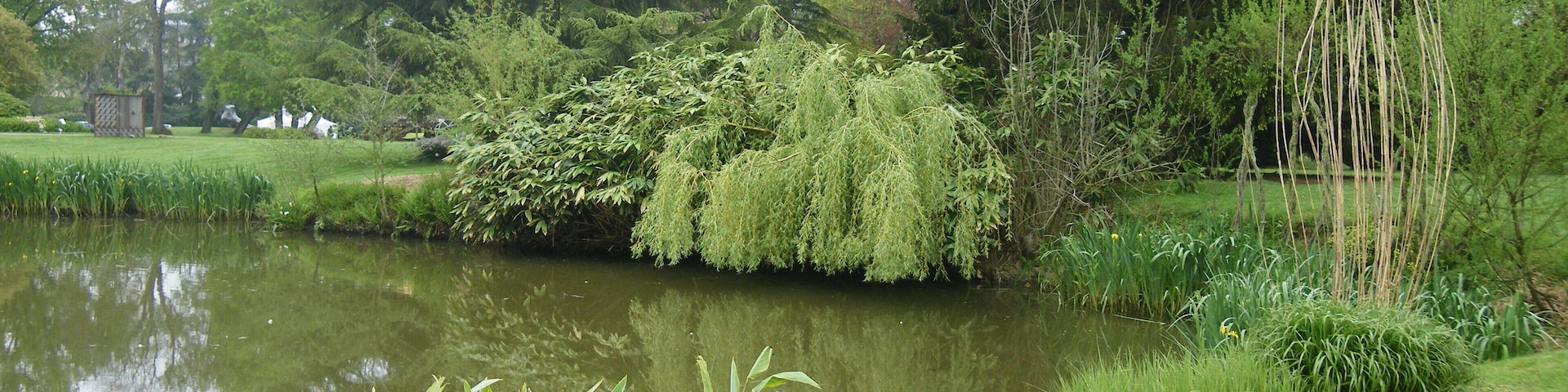 etang dans le parc a chateaubourg