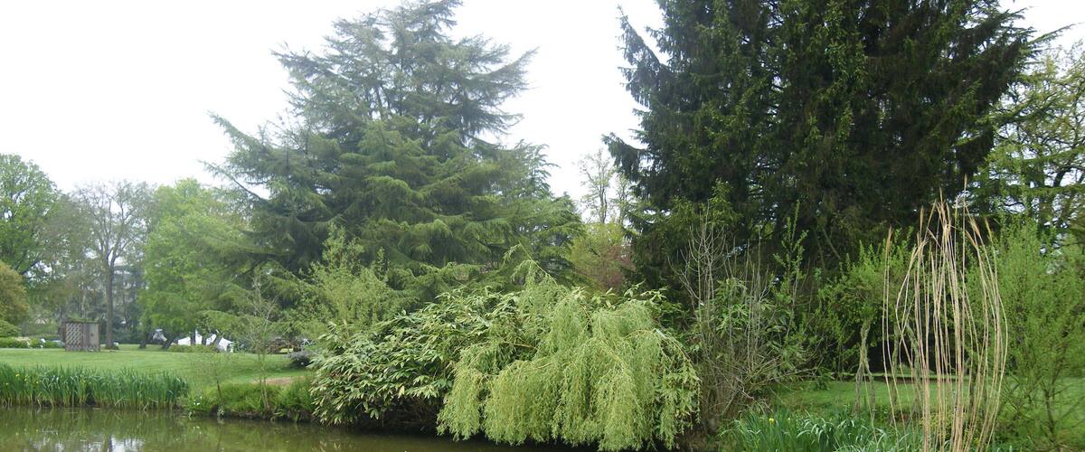 A pond surrounded by lush greenery, including tall trees and various shrubs.
