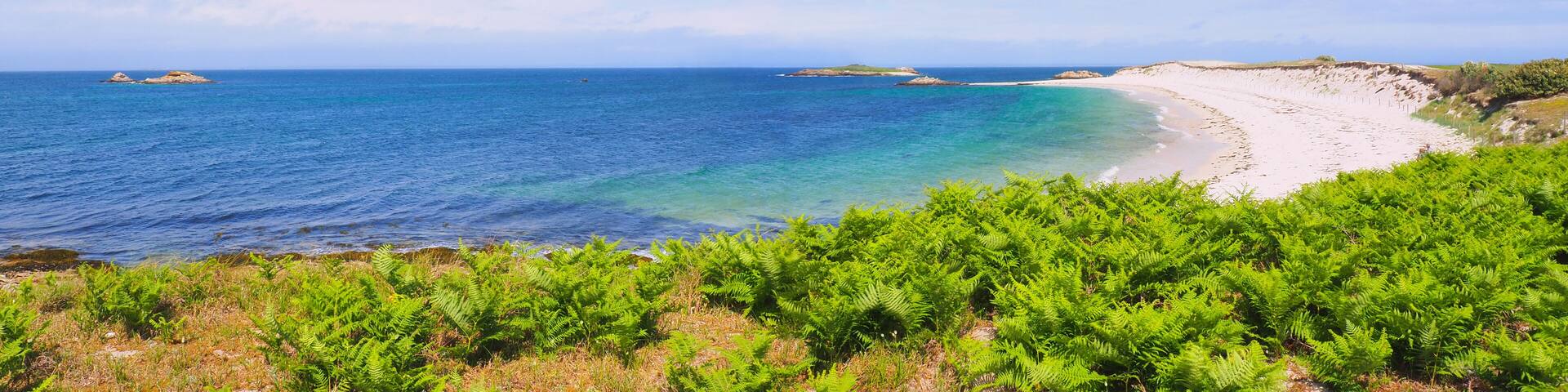 A coastal landscape with a sandy beach, clear blue waters, and green vegetation.