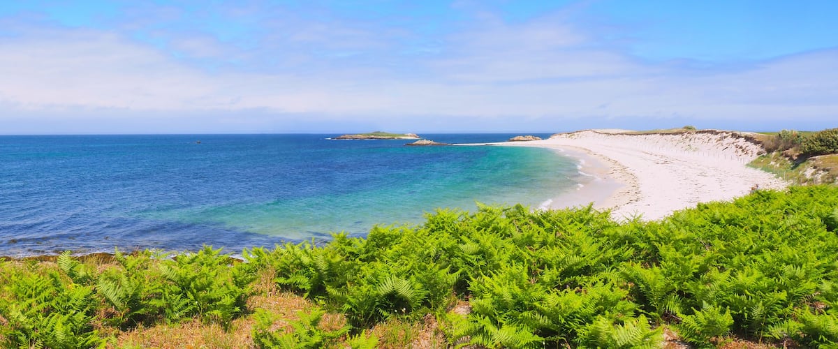 A coastal landscape with a sandy beach, clear blue waters, and green vegetation.