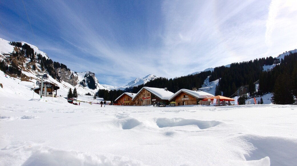 February 2015
A snowy scene up in the mountains above Avoriaz. With the sun shining and the temperatures just above freezing, it's a great place for skiing.
#snow