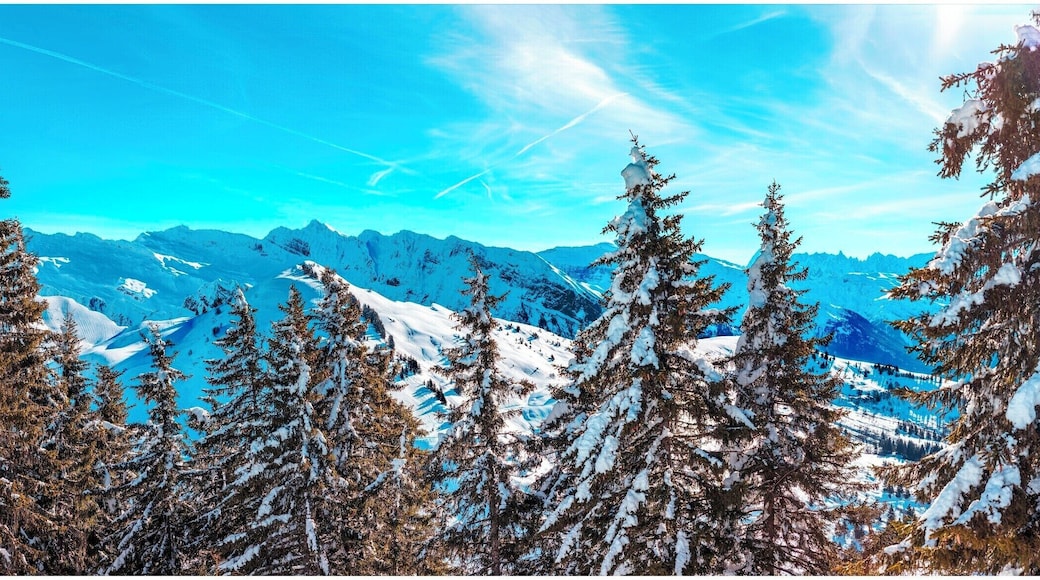 Good place for holiday.