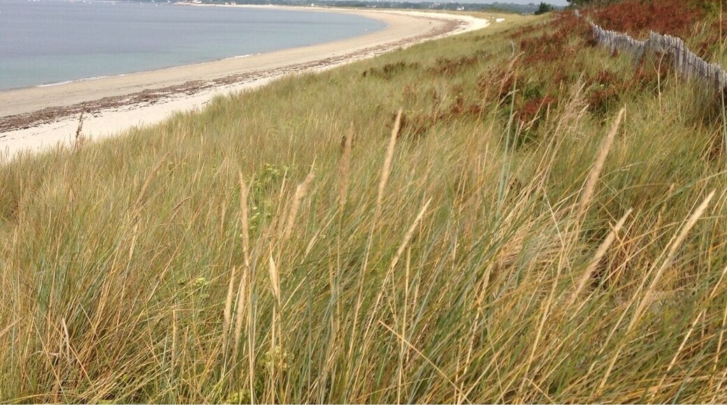 Great beaches and crab catching.