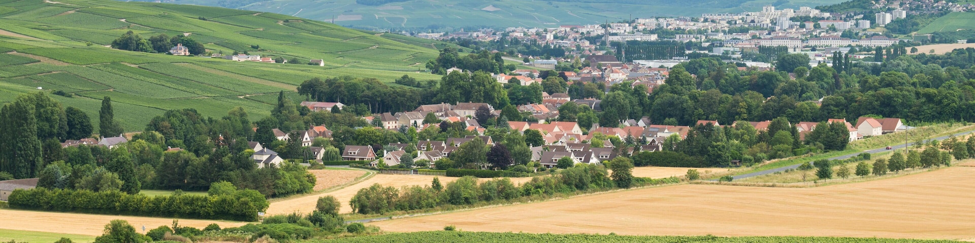 General view of the Epernay and vineyards, Epernay, Champagne, France