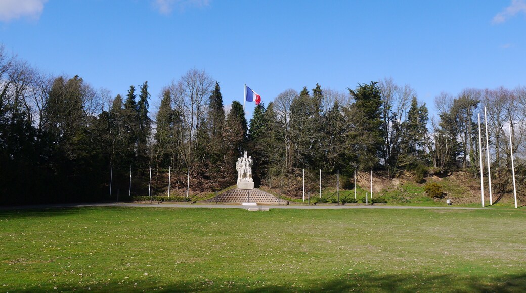 Vue d'ensemble du site.