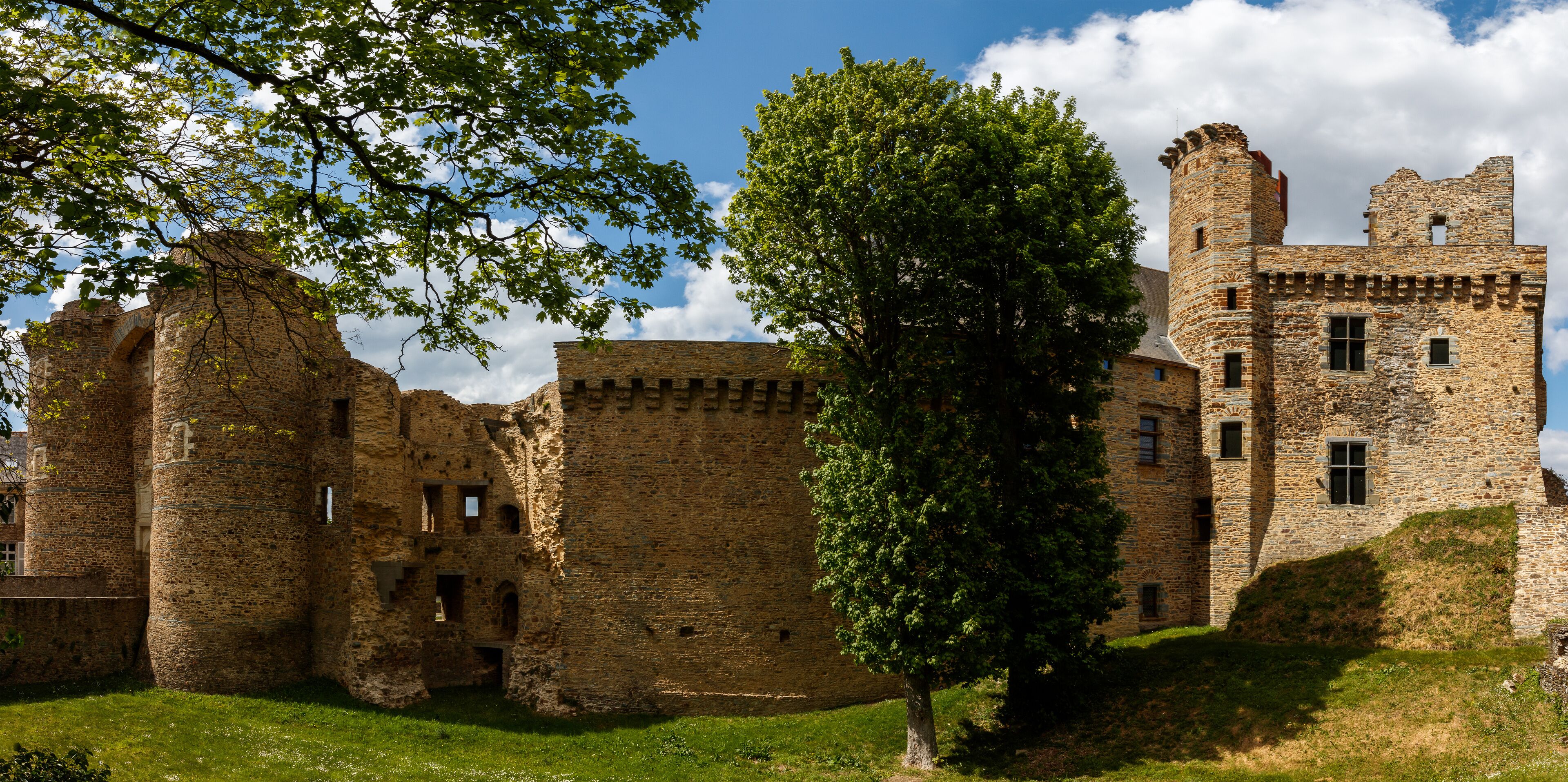 A historic stone castle with towers and a large tree in the foreground.