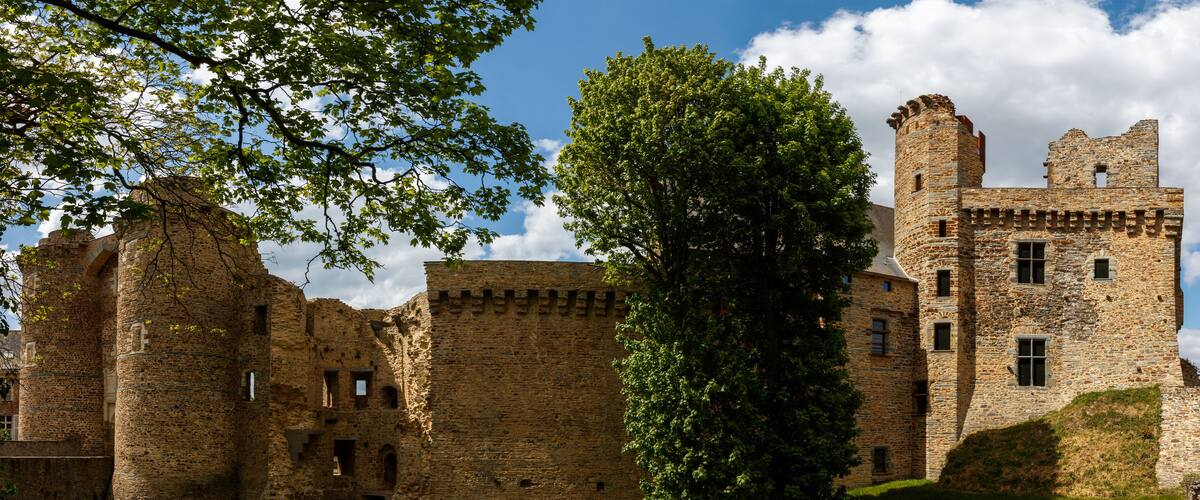 A historic stone castle with towers and a large tree in the foreground.