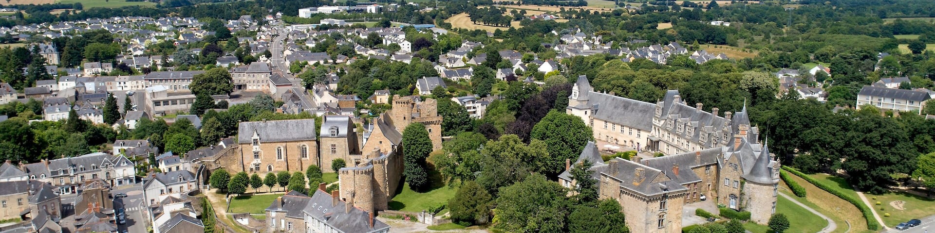 An aerial view of a historic town with a prominent castle surrounded by residential buildings and lush greenery.