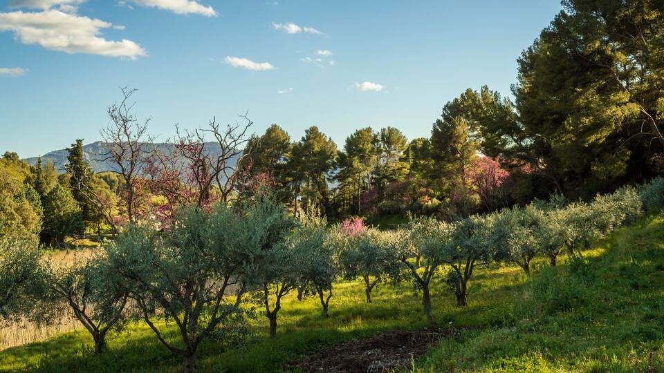 Photo of landscape from south of france