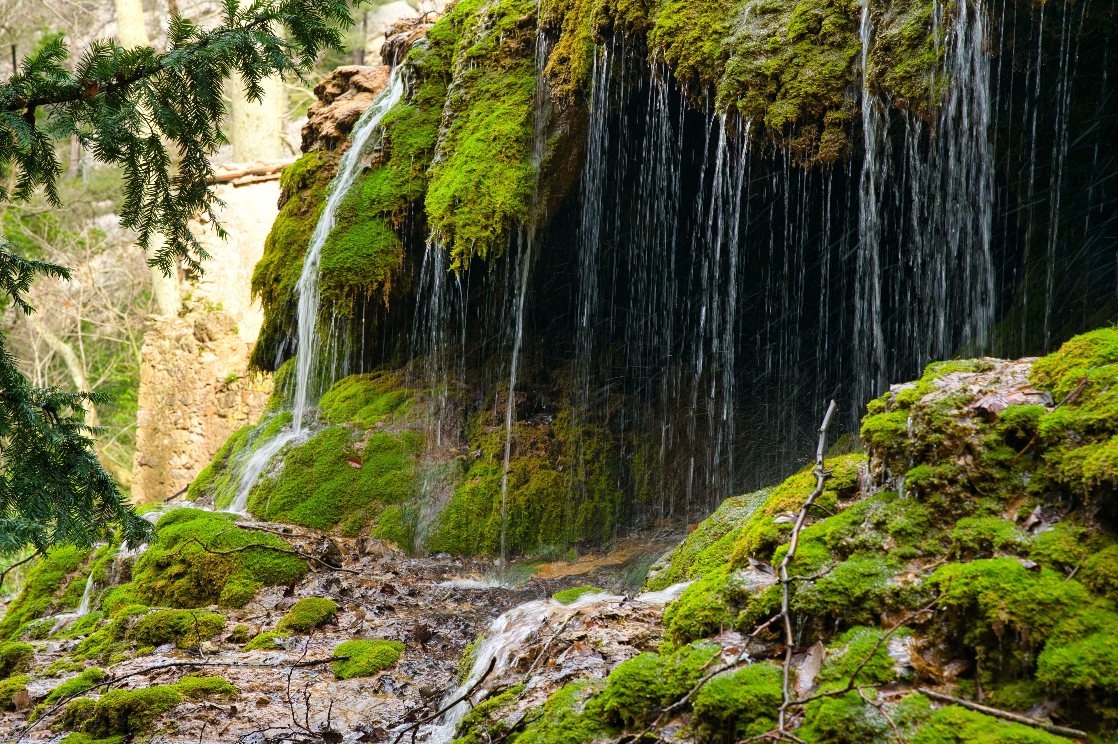 Parc de St. Pons bei Gemenos in Südfrankreich