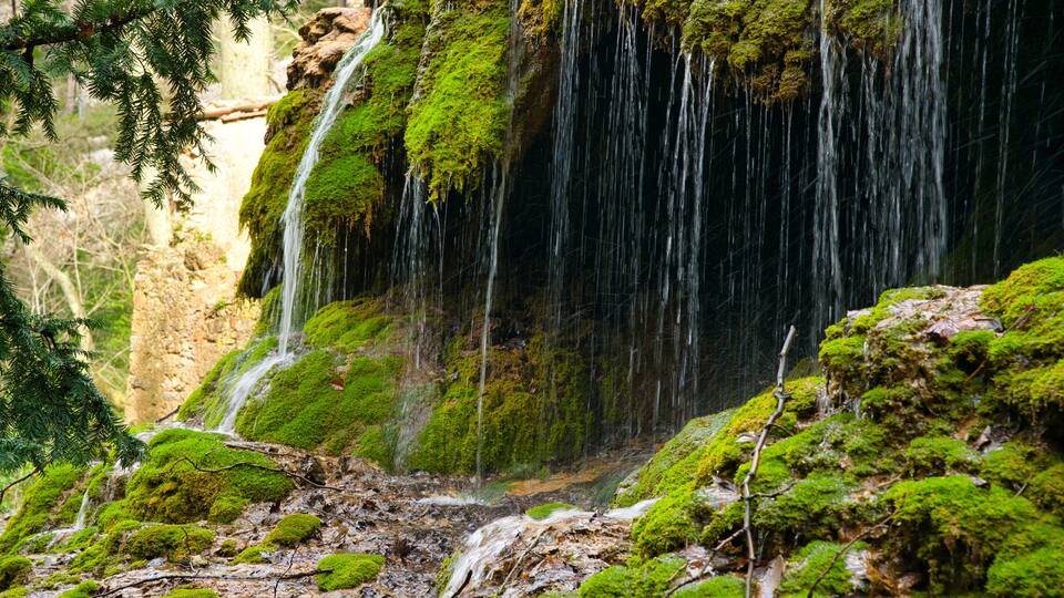 Parc de St. Pons bei Gemenos in Südfrankreich