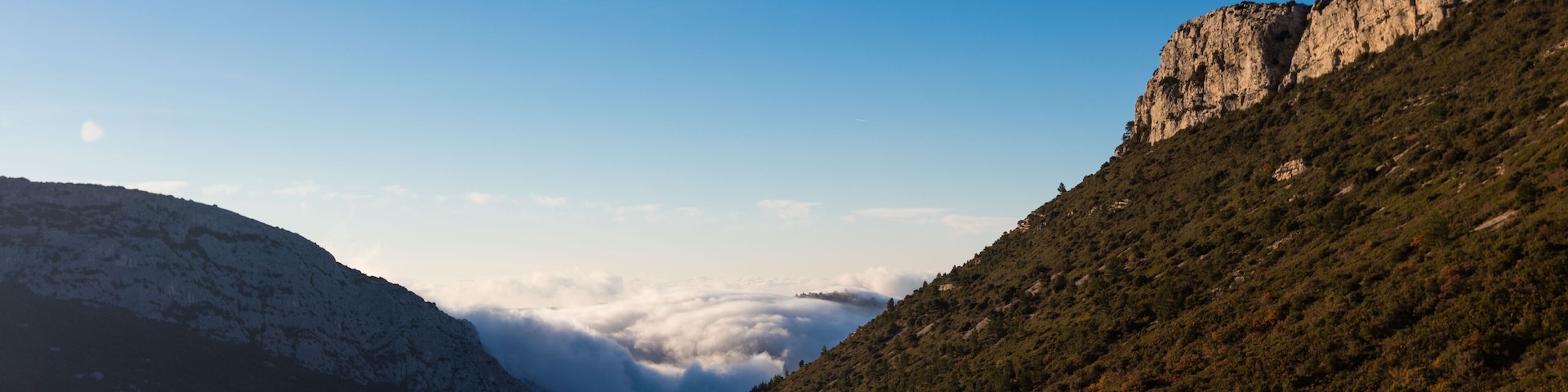 A mountainous landscape with a valley, dense forest, and a rocky cliff.