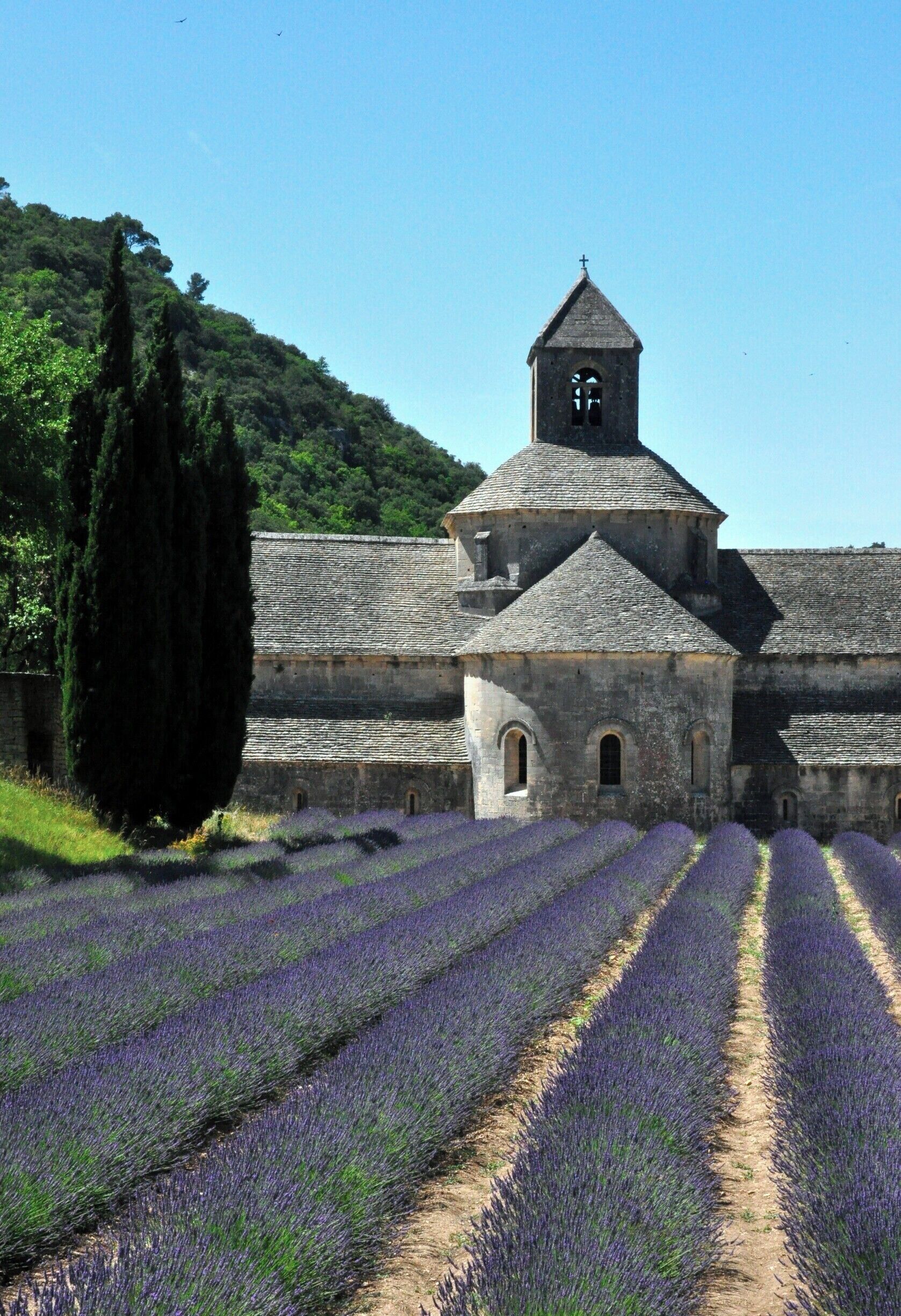 The whole world seems to visit this beautiful site in Provence, but that doesn't diminish its beauty.