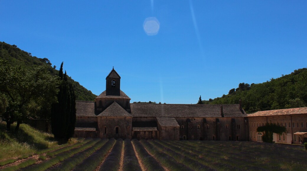 Sénanque Abbey was the highlight of my France trip. My friends and I purposely decided to make our trip around the end of June which is the start of the lavender season. Good enough they were in bloom in the region!
Sénanque Abbey is a Cisterian abbey where the monks who live there tend bees and grow lavender. The abbey houses people who wants to do spritiual retreats. Visitors are welcome to tour the inside but they should have the correct dress code. There is a poster in the front door for guidelines. Beside the entrance is the shop where they most likely sell the goods from the raw products that the monks produced.