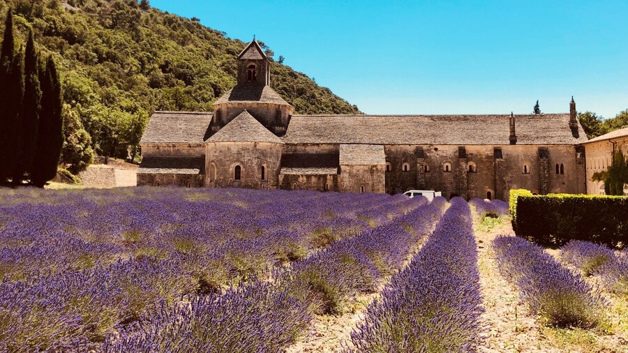 The gorgeous lavender fields at Notre-Dame de Senanque in Provence, France. In full bloom in mid July. Make sure you stop off and visit the picturesque towns of Gordes and Roussillon along the way #roussillon #provence #france #lavender #Notre-Dame de Senanque #TroveonTuesday