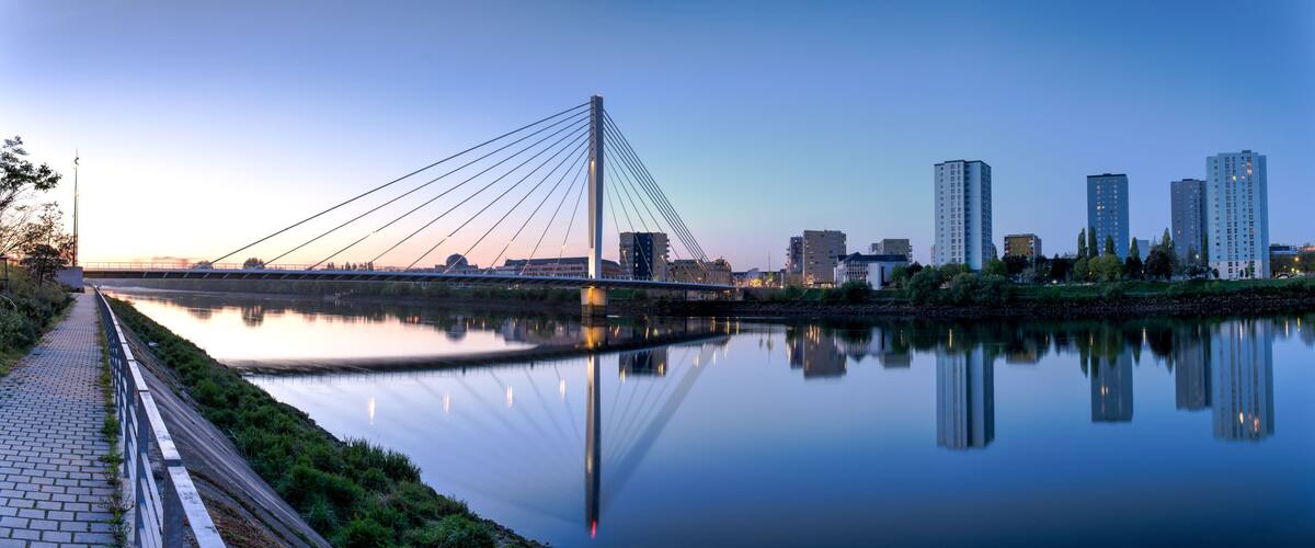 A cable-stayed bridge over a calm river, with a city skyline in the background.