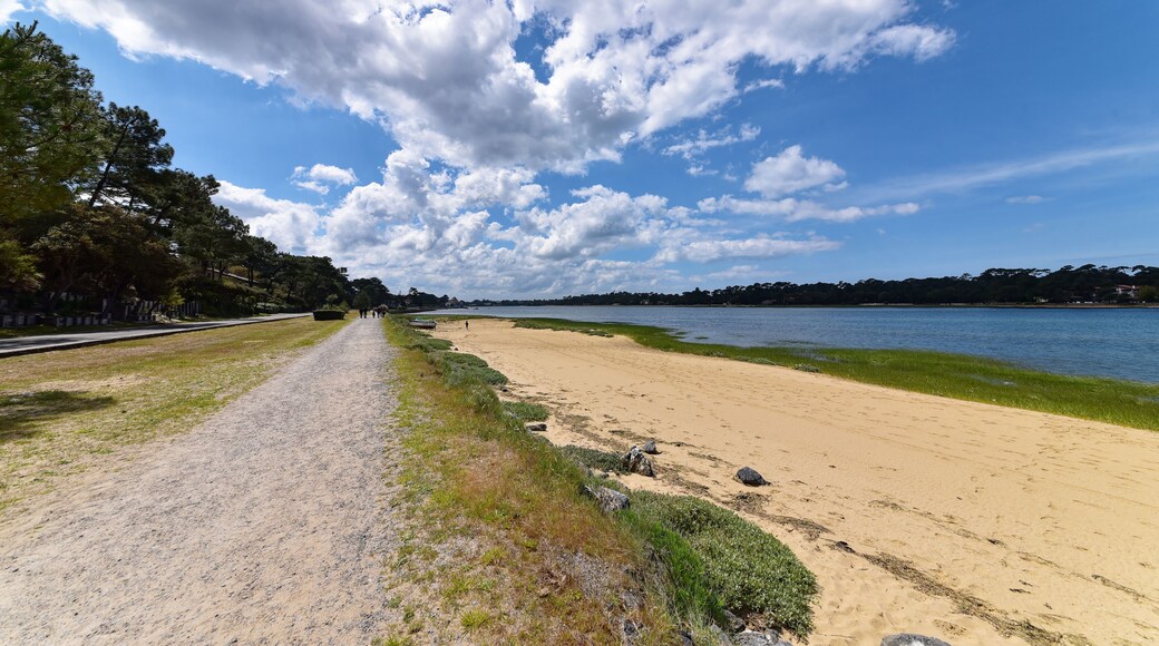 Frankreich - Soorts-Hossegor - Lac d'Hossegor - Strand