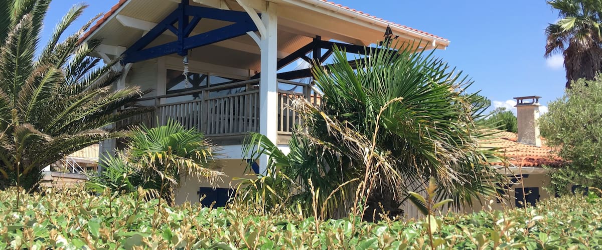 A covered outdoor area with a tiled roof, surrounded by palm trees and vegetation.