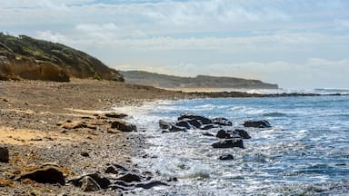 Atlantic coast at Jard-sur-Mer, Vendee, france