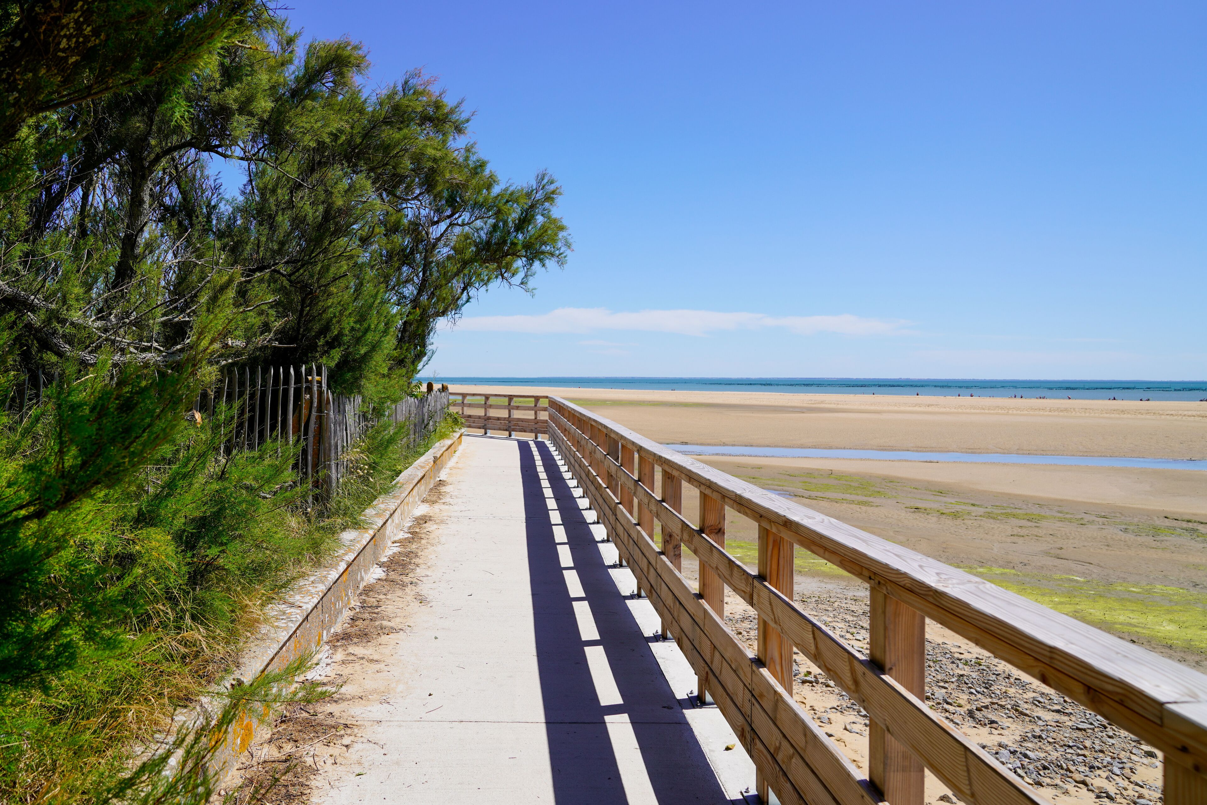 wooden pontoon walkway on sandy beach side in atlantic ocean coast horizon in Jard sur Mer in france