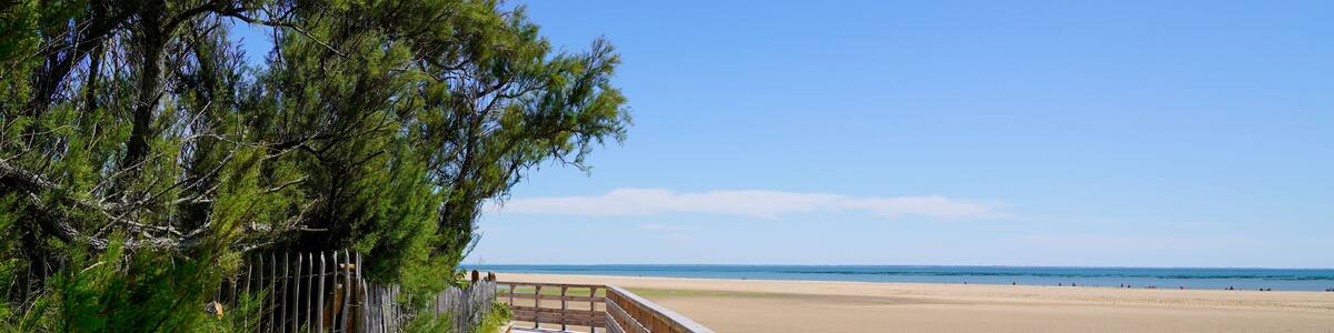 wooden pontoon walkway on sandy beach side in atlantic ocean coast horizon in Jard sur Mer in france