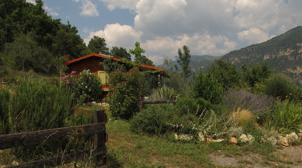 A mountain house , Please help with map placement,