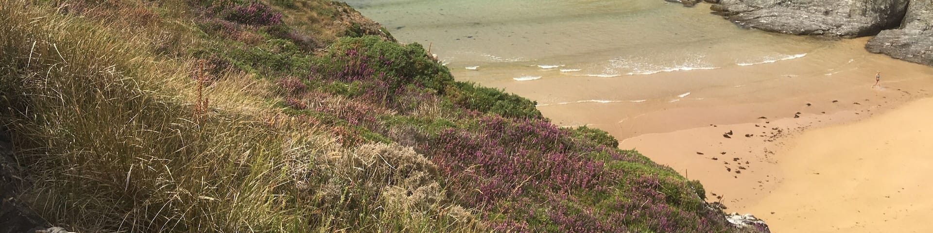 You can see this peaceful beach on the road from Plage des Donnants to Port coton
#nature
#france
#belle-île