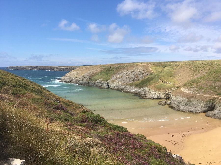 You can see this peaceful beach on the road from Plage des Donnants to Port coton
#nature
#france
#belle-île