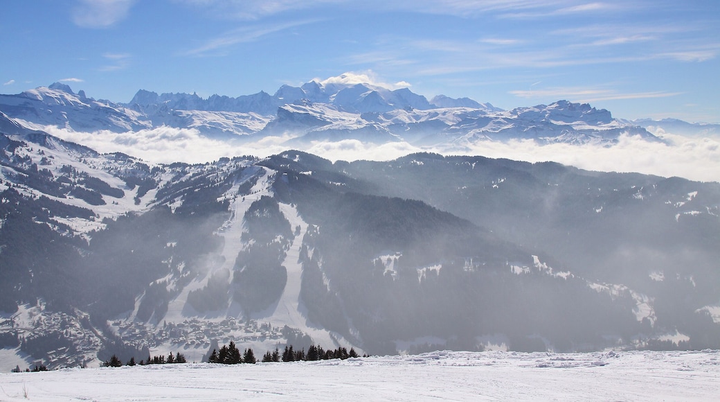 February 2011
We spent a week at Les Gets in France skiing, this shot was taken from the top of the mountain looking across the valley.
It took a while to get there, but the skiing on the way down was exhilarating and combined with blue skies and sunshine gave us the ultimate days skiing.