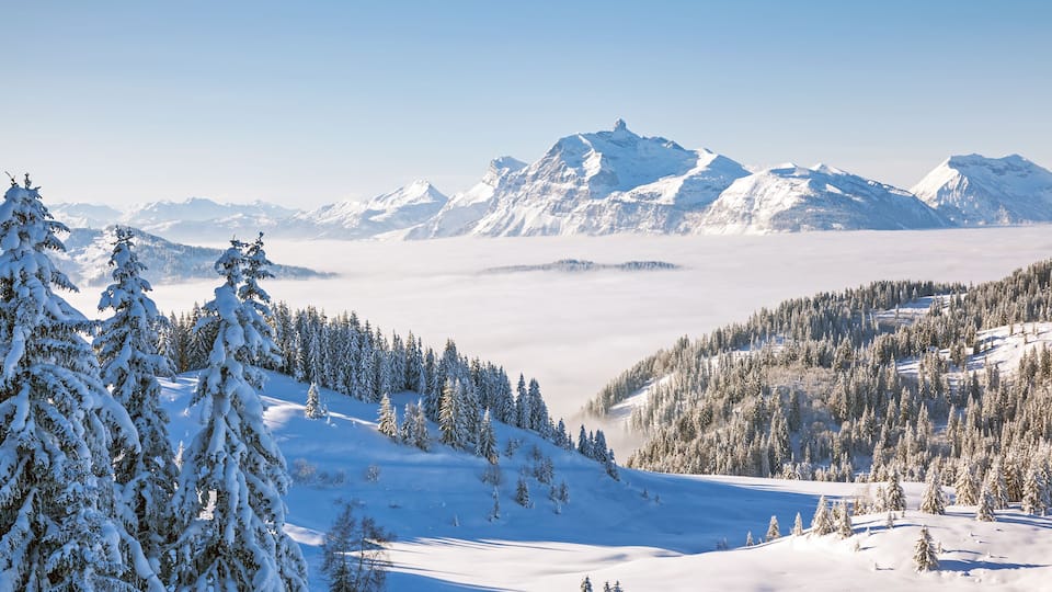 A snow-covered mountain range with evergreen trees and a clear sky.