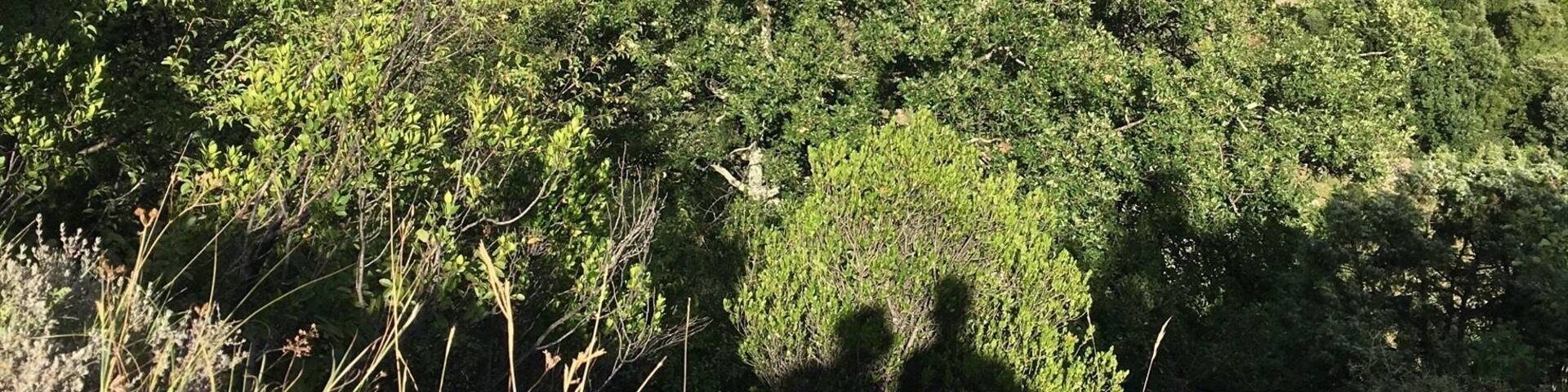 Magnifique point de vue sur le village