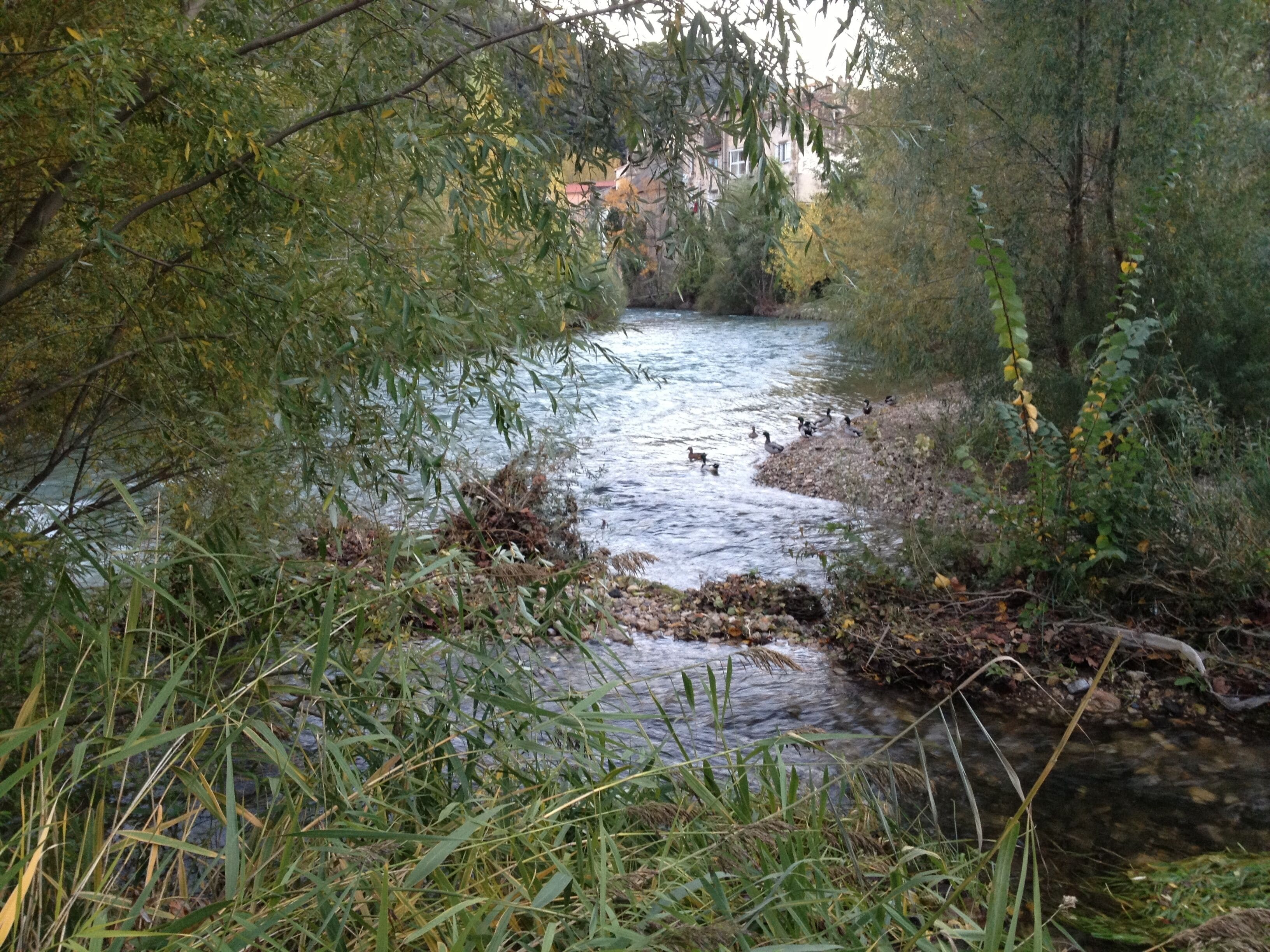 Lergue (Rivière)
