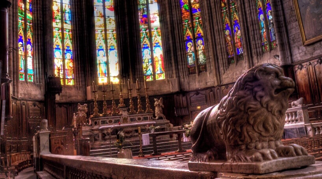 Interior of Cathedrale Saint Fulcran, Lodeve, Herault, France