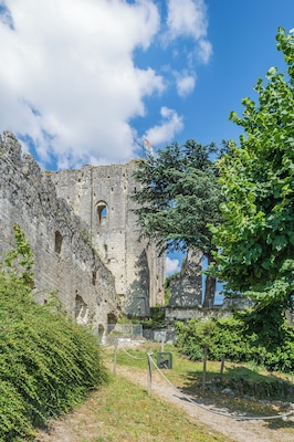 Un mur de pierre ancien, doté d’une fenêtre en arc de cercle, entouré de verdure et surplombant un ciel dégagé.
