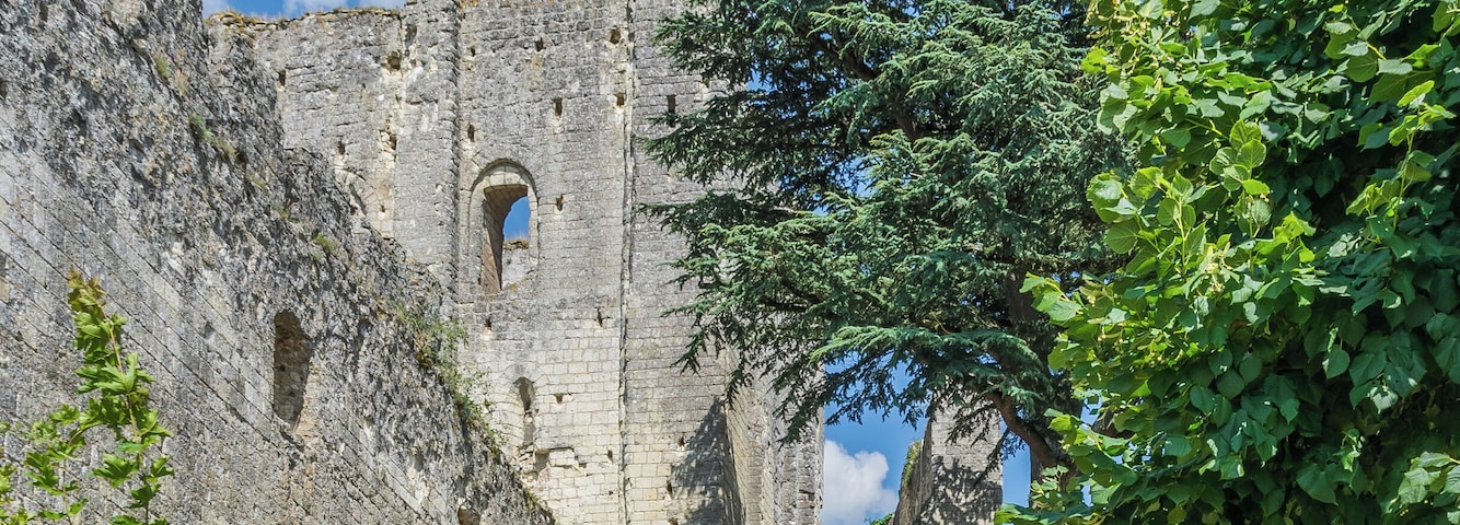 This building is classé au titre des Monuments Historiques. It is indexed in the Base Mérimée, a database of architectural heritage maintained by the French Ministry of Culture, under the reference PA00098513 .