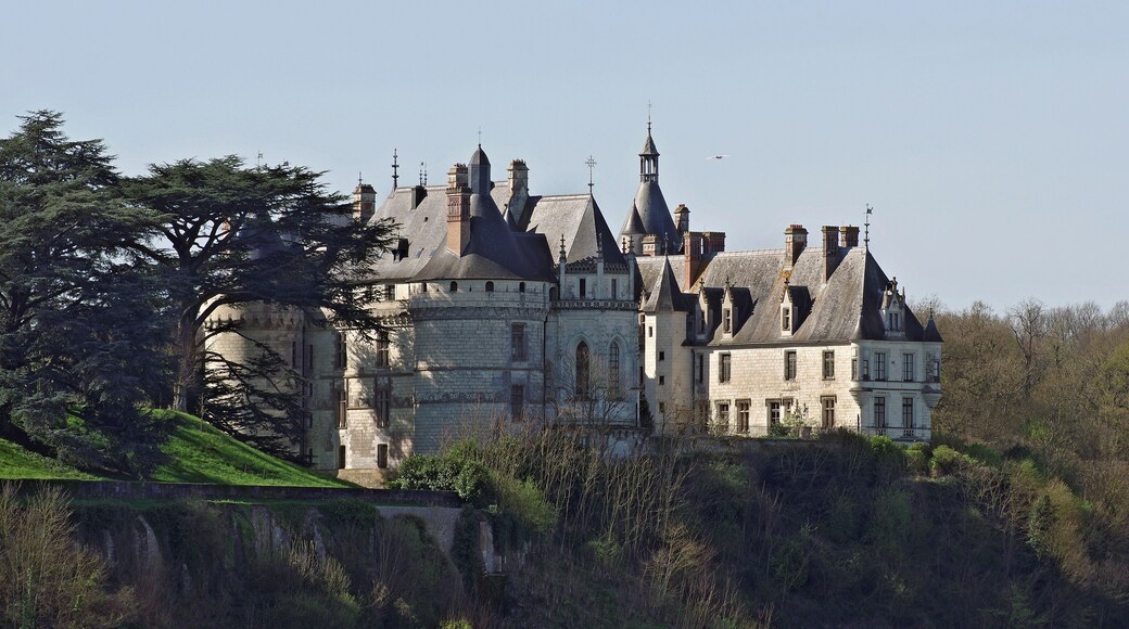 Eudes Ier, comte de Blois fit construire une forteresse à Chaumont pour protéger la ville de Blois des comtes d'Anjou. La forteresse d'origine fut brûlée et rasée par Louis XI en 1455, pour punir Pierre d'Ambroise de s'être révolté contre le pouvoir royal. Jacques Donatien le Ray, fils d’un gros bourgeois de Nantes achète le château en 1750. Il y donnait des fêtes populaires, ce qui préserva le château lors de la Révolution de 1789. Il reçoit Benjamin Franklin, Jean-Jacques Rousseau. Son fils, part pour le Nouveau Monde pour y fonder une colonie dans l'Ohio, du nom de Chaumont. Eudes I, Count of Blois built a fortress at Chaumont to protect the city of Blois Count of Anjou.The original fortress was burned and razed by Louis XI in 1455 to punish Pierre d'Amboise of having rebelled against the royal power. Jacques Donatien Le Ray, son of a rich bourgeois bought the castle of Nantes in 1750.He gave popular festivals, which preserved the castle during the Revolution of 1789.He received Benjamin Franklin, Jean-Jacques Rousseau.His son, left for the New World to establish a colony in Ohio, named