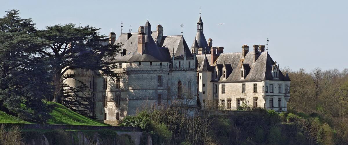 A large, historic castle with multiple towers and a moat.