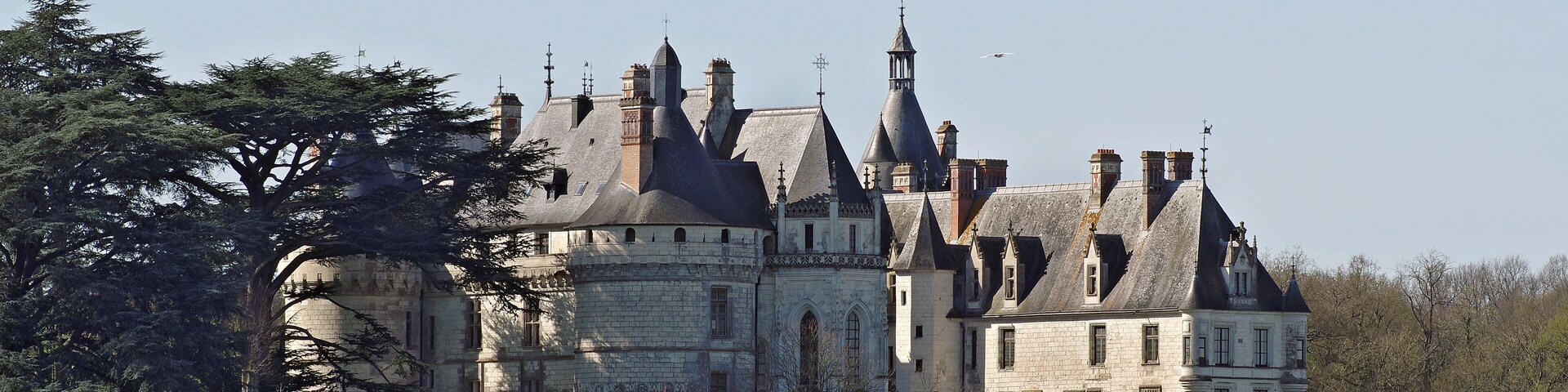 A large, historic castle with multiple towers and a moat.