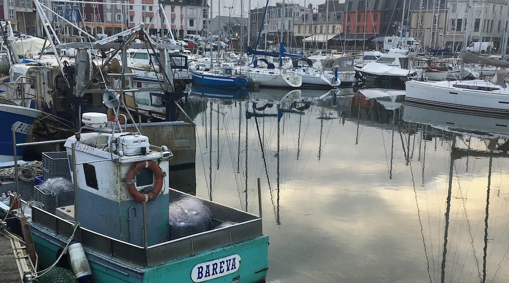 The marina of Paimpol, Côtes-d’Armor, Brittany
