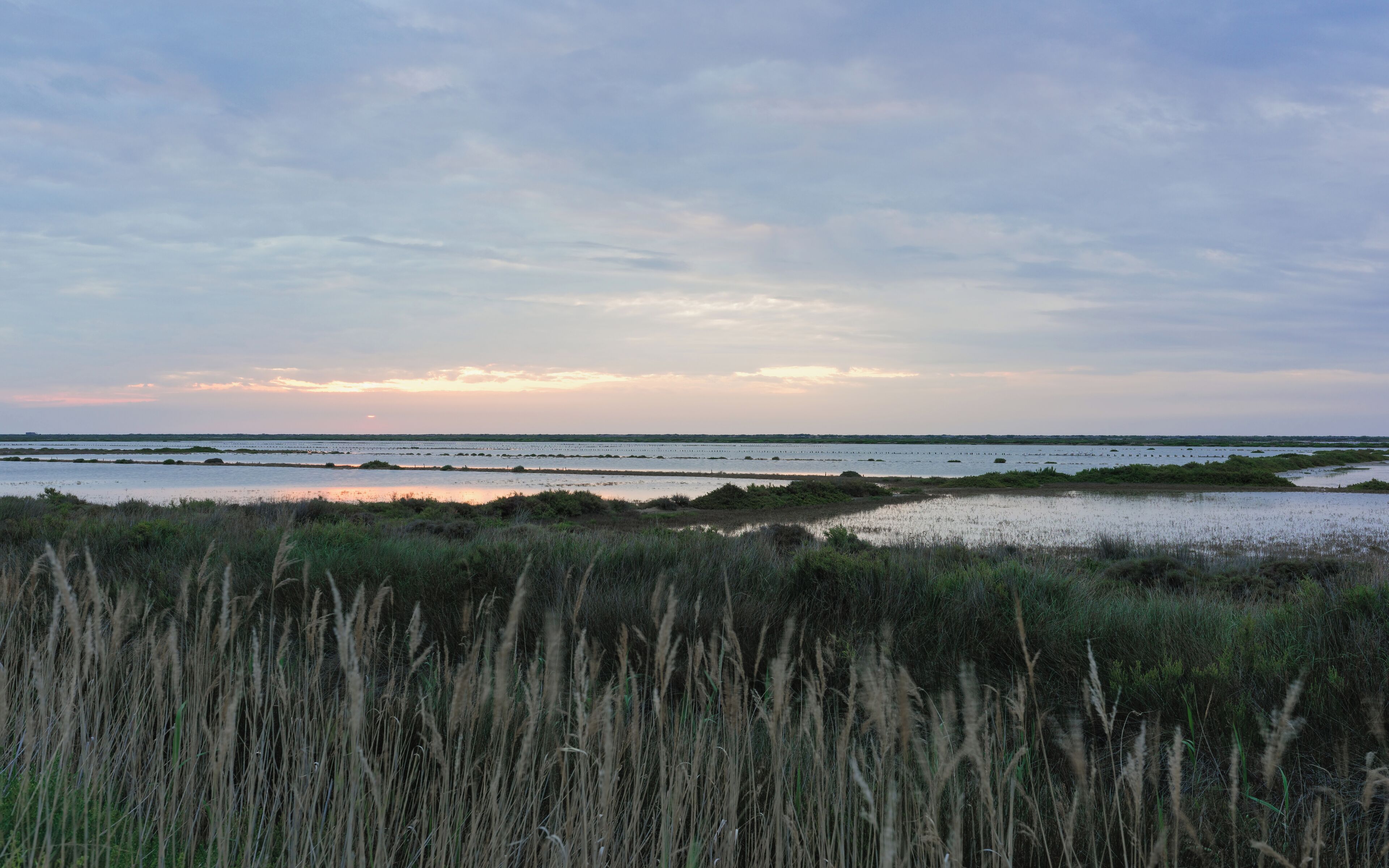 Les anciens salins de la Réserve naturelle régionale de Sainte Lucie - Aude, France