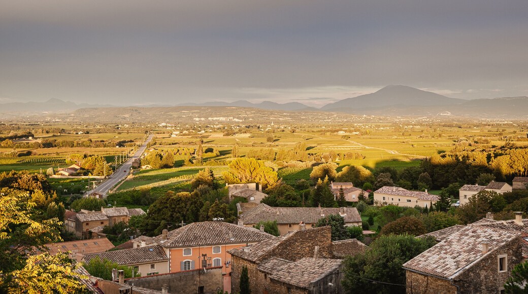 Rhone valley vineyard, storm and Mont Ventoux during summer, Drôme Provençale, France