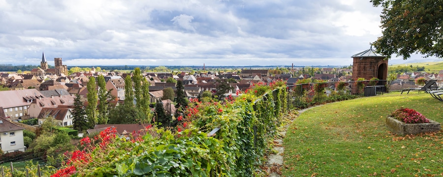 Scenic view from Chateau d'Isenbourg and Spa at picturesque village Rouffach Haut-Rhin department in Grand Est in north-eastern France